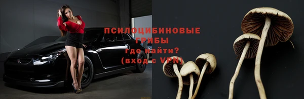 ECSTASY Михайловск