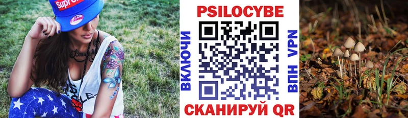 Псилоцибиновые грибы Psilocybine cubensis  Торжок 