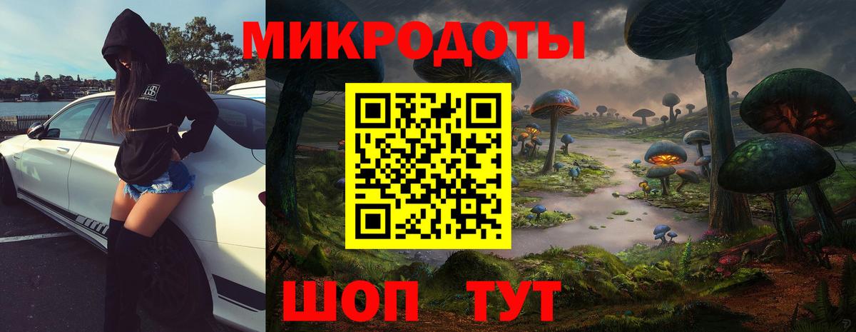 Торжок  Псилоцибиновые грибы Psilocybine cubensis  Вход с VPN 
