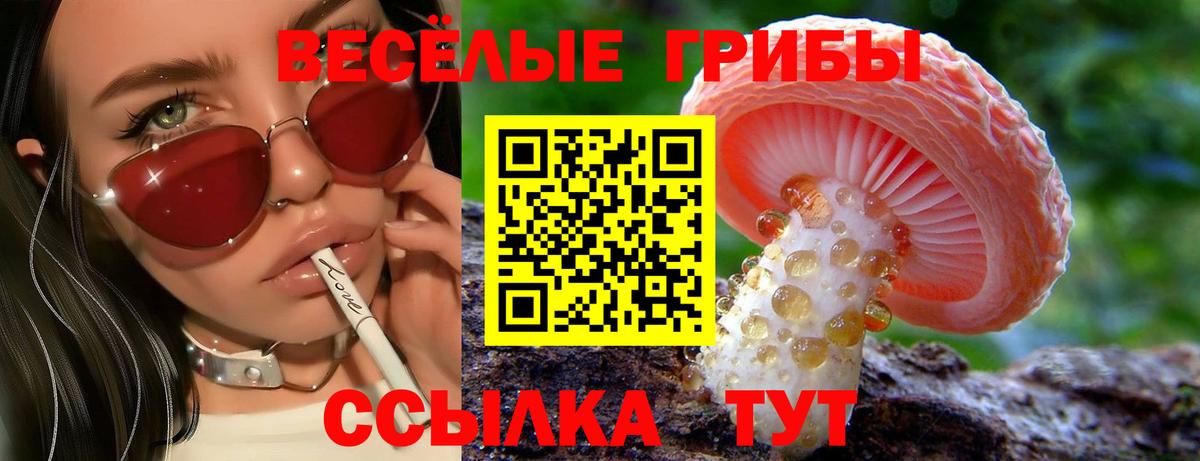 Псилоцибиновые грибы прущие грибы Торжок